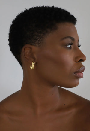 Cosmos Studs Pair