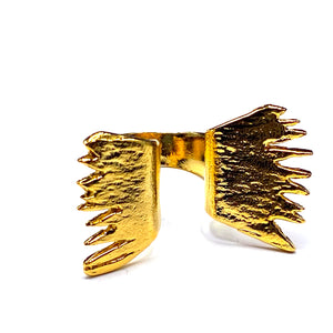 The Ring with Wings