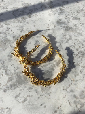 Quasar Bridget Hoops
